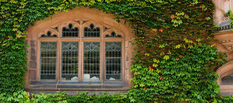 Ivy covered stone wall around a pane glass window in rinceton, New Jersey